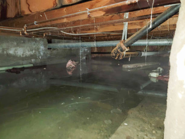 Water damage restoration process in MA