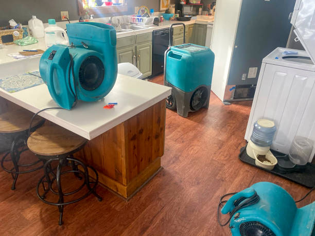  Littleton Common, MA Water damage restoration Pros