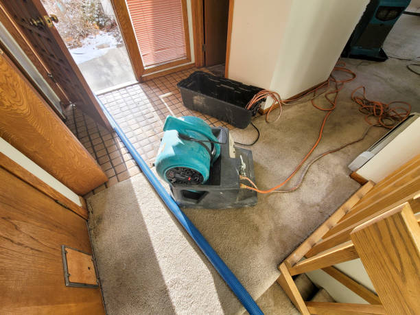 Best Flood damage cleanup  in Littleton Common, MA