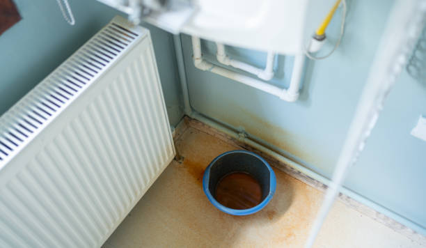Best Water damage restoration mold remediation  in Littleton Common, MA