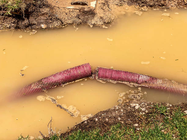 Best Residential water damage restoration  in Littleton Common, MA